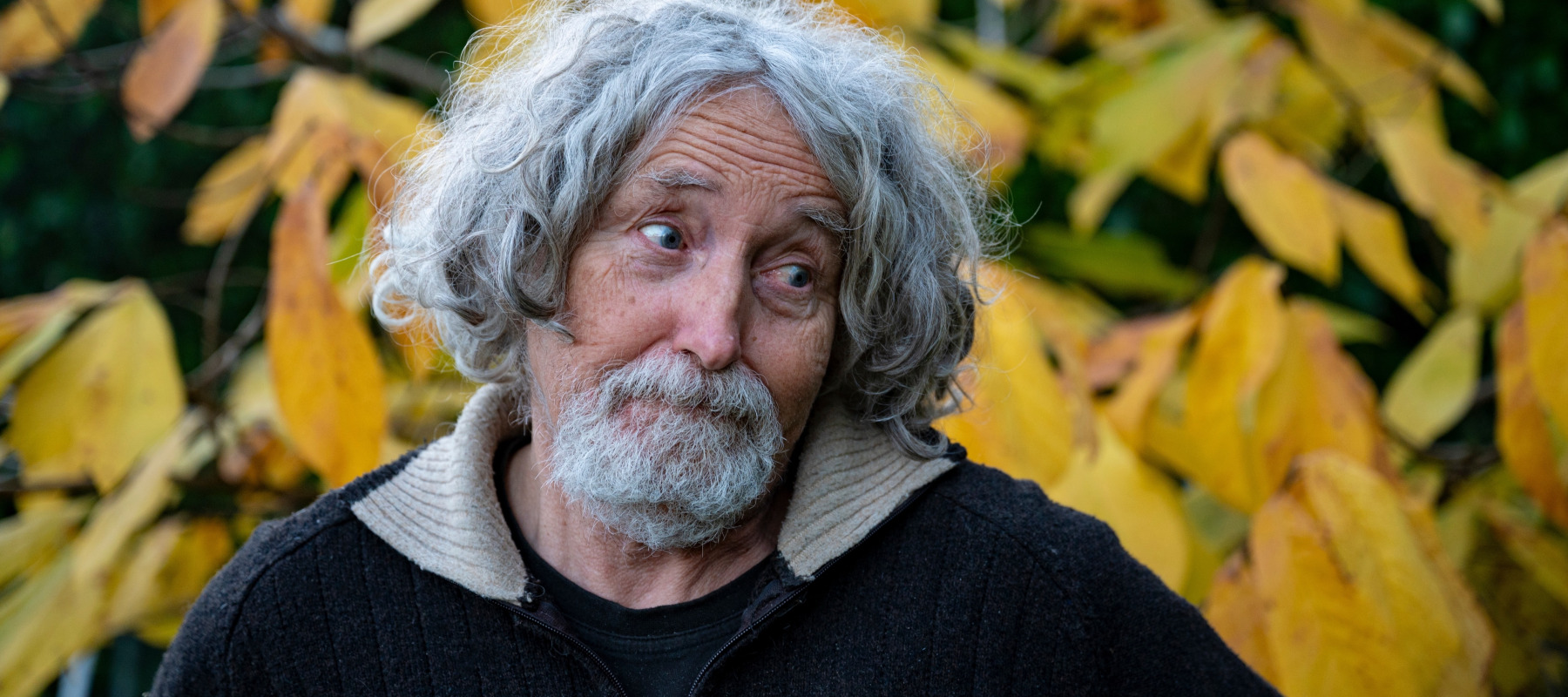 An elderly man with curly gray hair and a thoughtful expression stands in front of vibrant yellow autumn leaves.