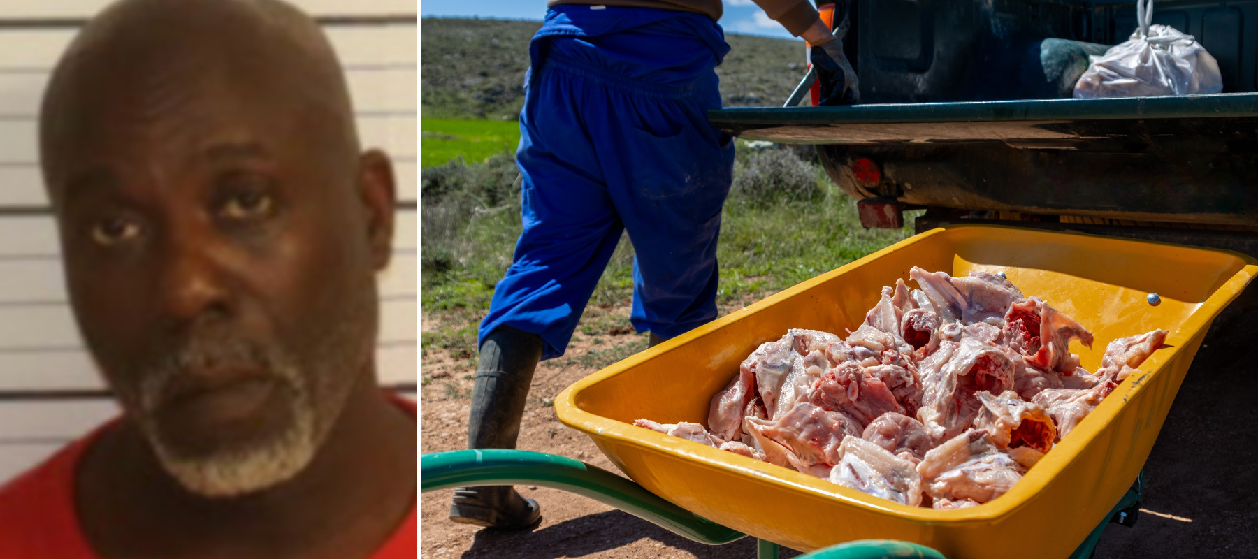 Robert Wilson and raw chicken.