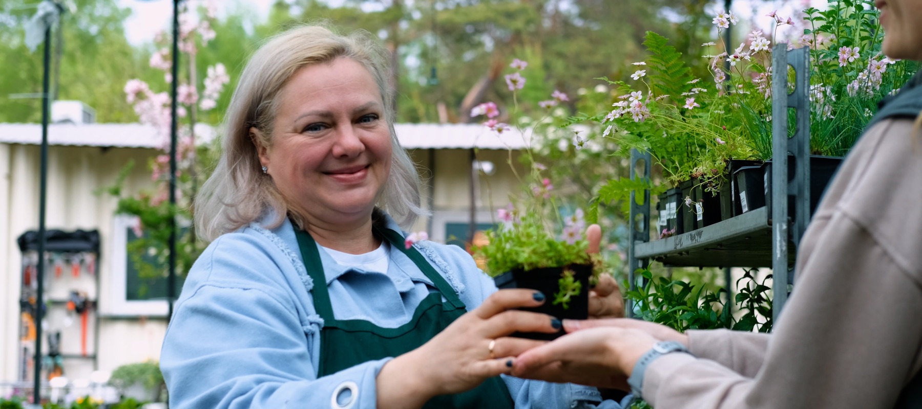 A middle-aged woman hands a plant to a customer at a garden center.