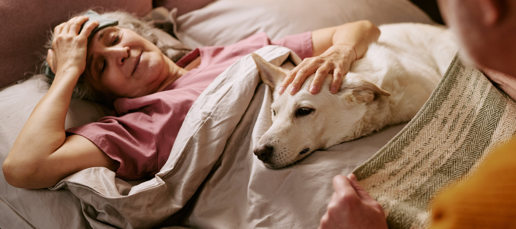 Sick woman laying in bed with her dog
