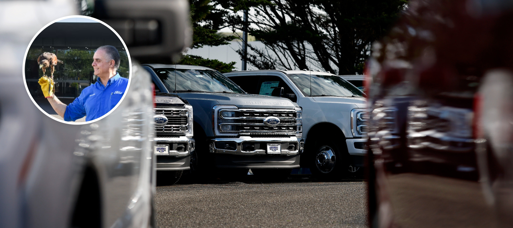 trucks and hawk