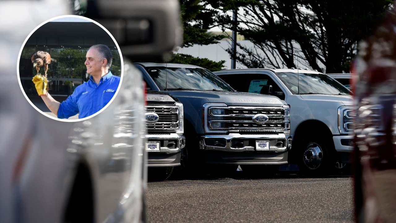 Ford uses a hawk to guard its Mexico factory