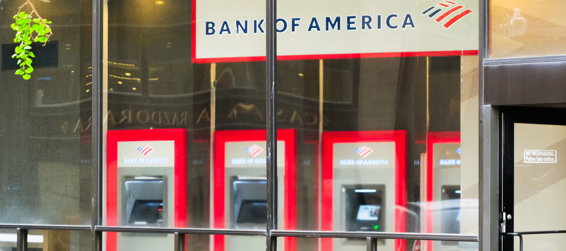 A row of Bank of America ATMs inside a glass-fronted branch.
