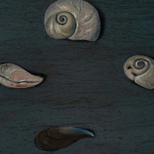 The painting, "Alderman Merriam's Shells", and it's signed back by Gertrude Abercrombie.
