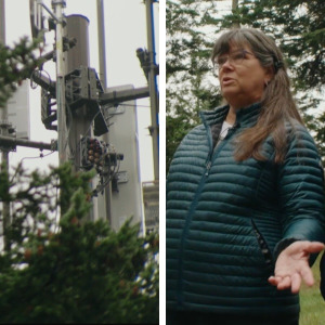 Liz Covert and Denis Goudie did not see a cell tower going up on a quiet corner of their property.