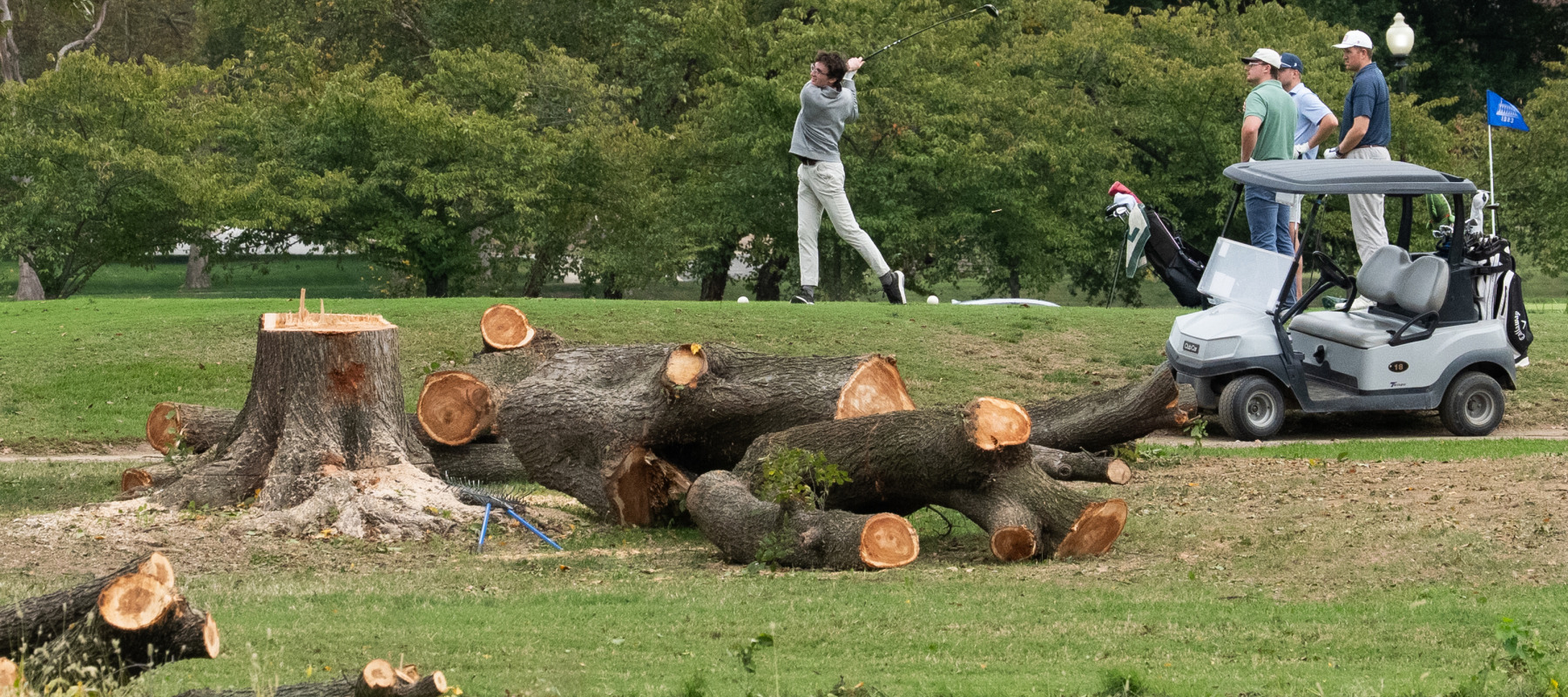 Felled trees are visible on East Potomac Golf Course on October 10, 2026 in Washington, DC.