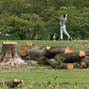 Felled trees are visible on East Potomac Golf Course on October 10, 2026 in Washington, DC.