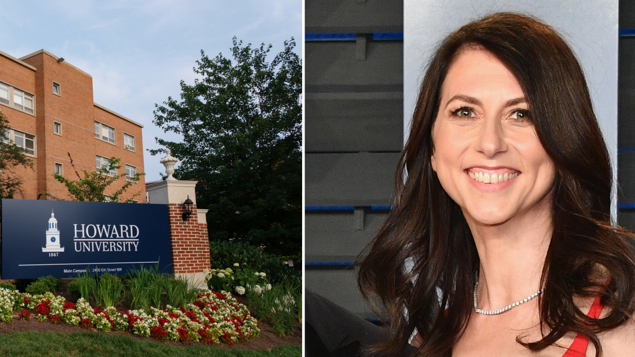 MacKenzie Scott was responsible for $7 billion in donations last year, roughly one-third of the total megagifts given in the US