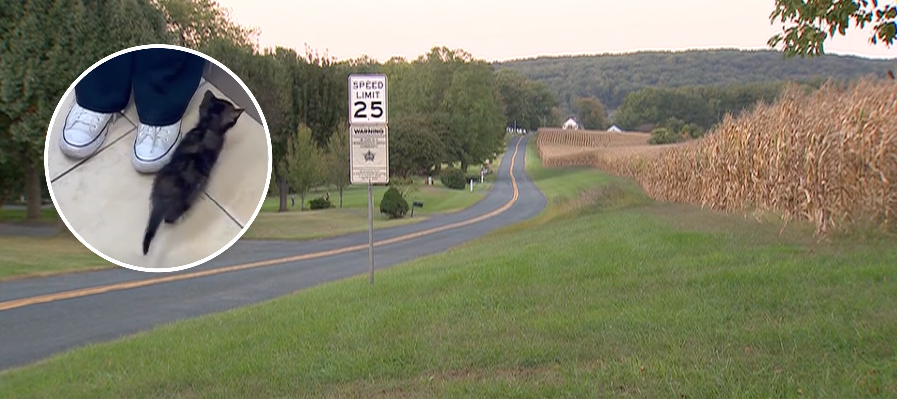 A Maryland school bus driver pulled over to rescue a kitten on this rural road.