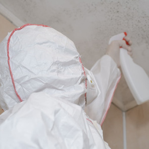 A person cleaning mold off a ceiling