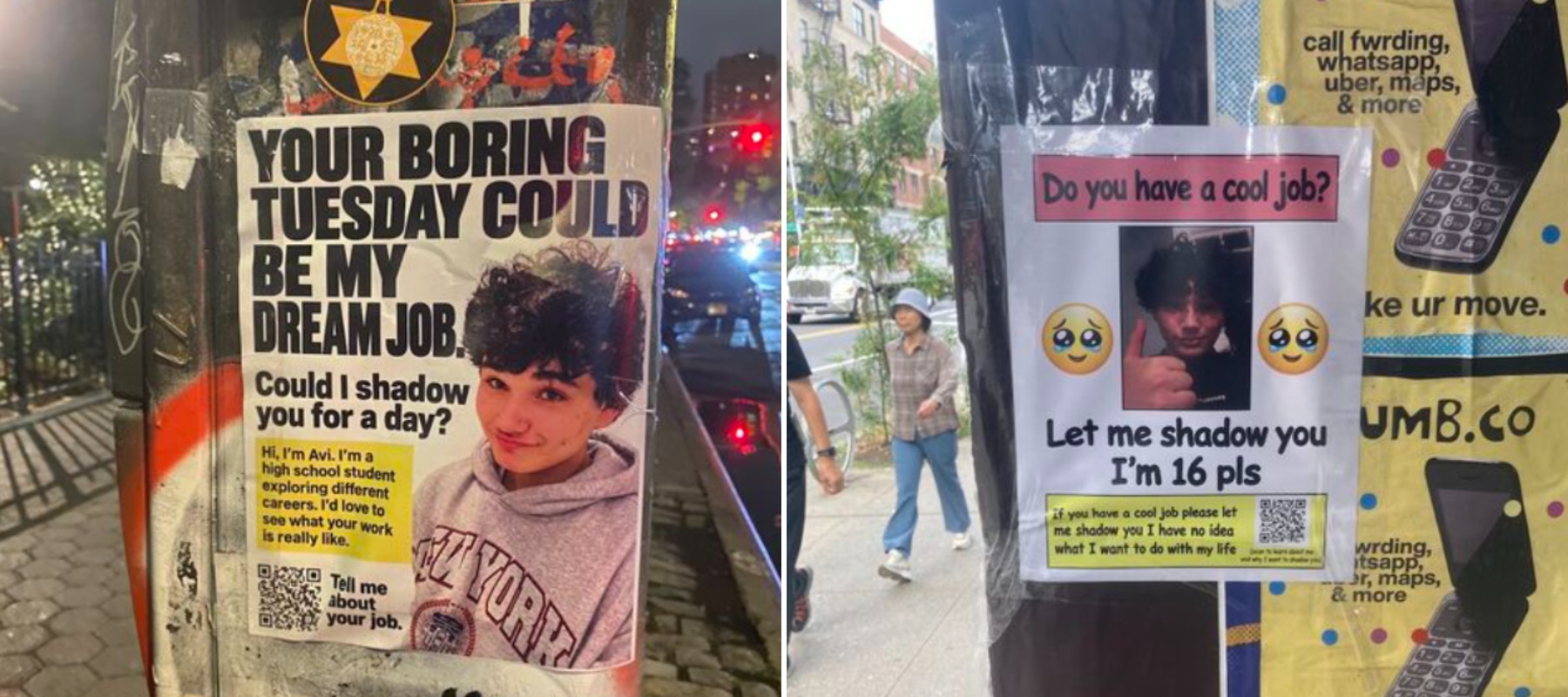 Two flyers posted around New York City by Avi Lichtenstein.