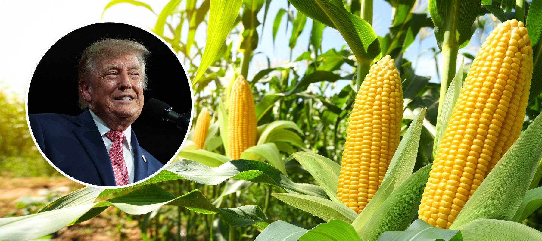 U.S. President Donald Trump announces relief for farmers.