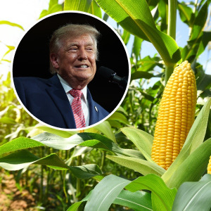 President Donald Trump announces relief for farmers.