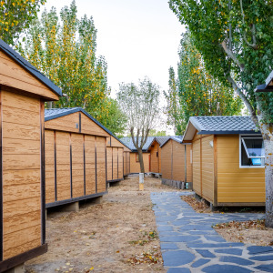 Rustic tiny homes in a row