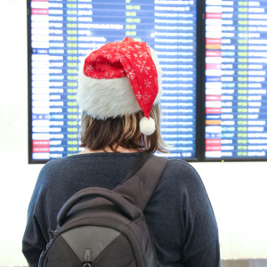 Holiday travel could save you a bundle.