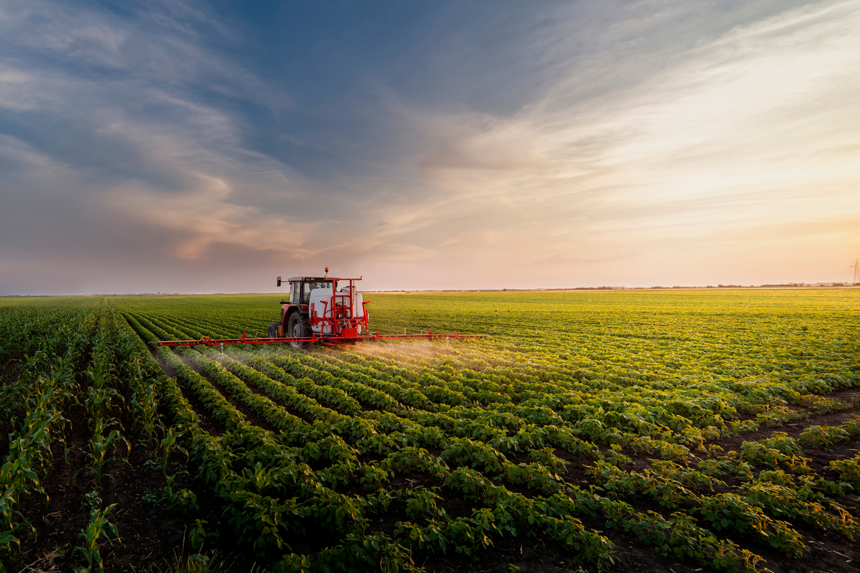 4 Farmland ETFs to Consider to Grow Your Portfolio | Moneywise