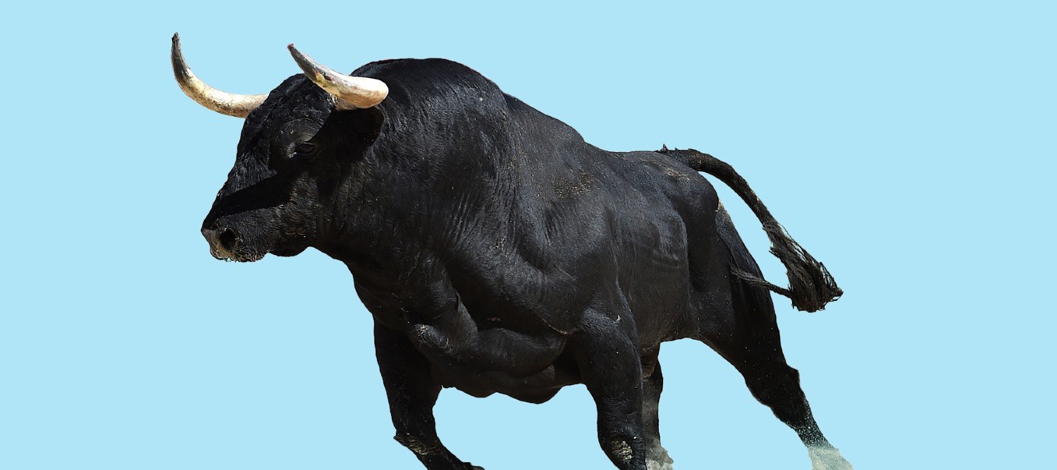 30 stock markets facts, including why bull markets are called bull markets